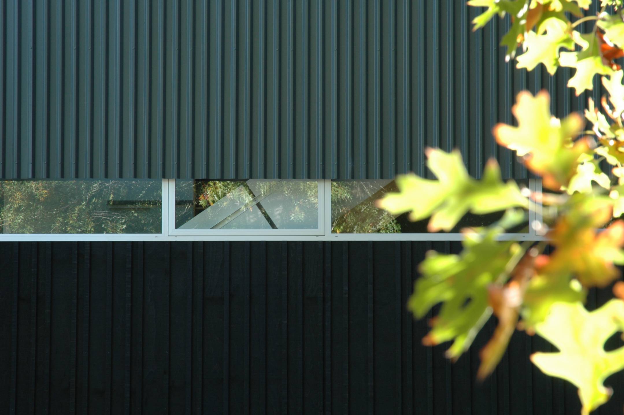 Bark House by Herbst Architects